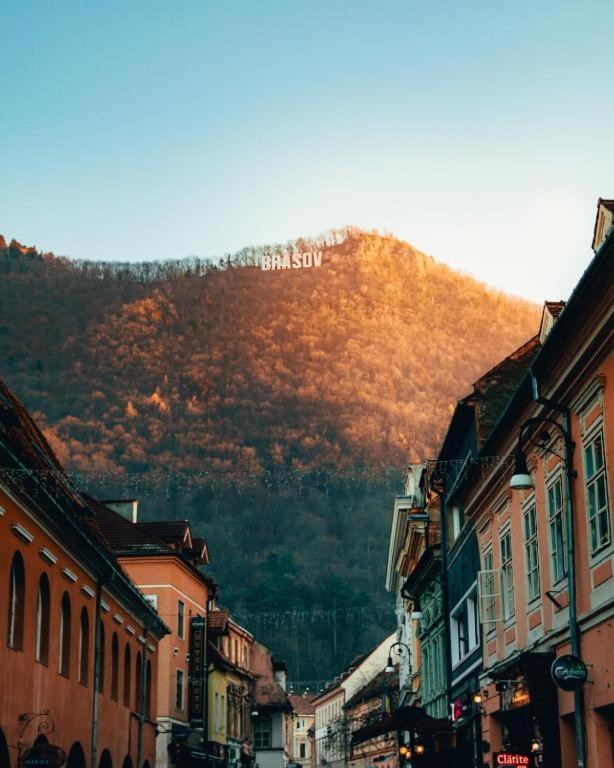 Coresi, 2 Camere, Sleeps 6 Large Private Garden Apartment Pets Welcome Brasov Exterior photo