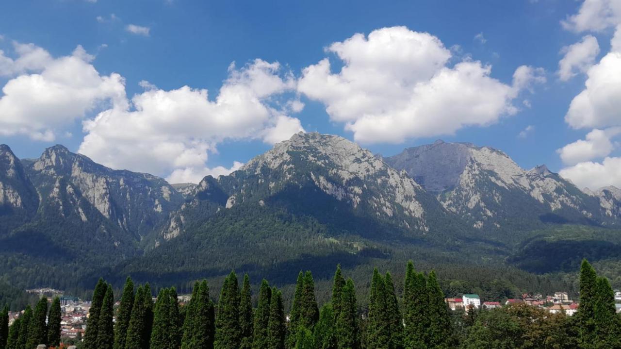 Coresi, 2 Camere, Sleeps 6 Large Private Garden Apartment Pets Welcome Brasov Exterior photo